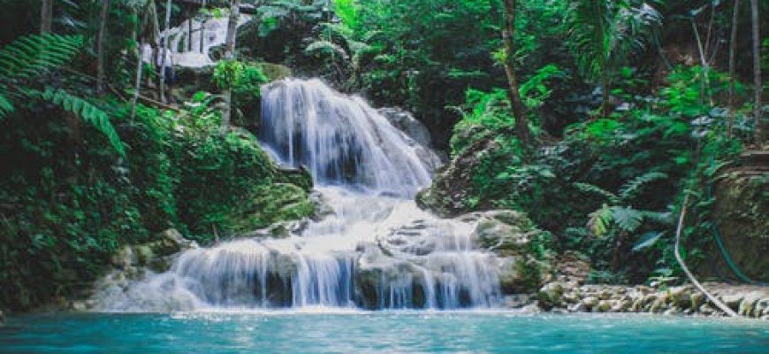 Certification of the environmental management system according to the ISO 14001: 2015